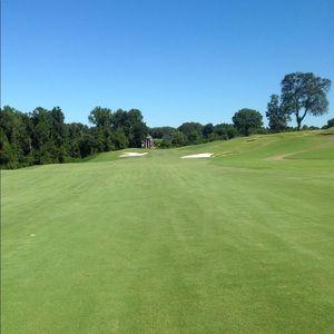 Meet your Posher, Alan